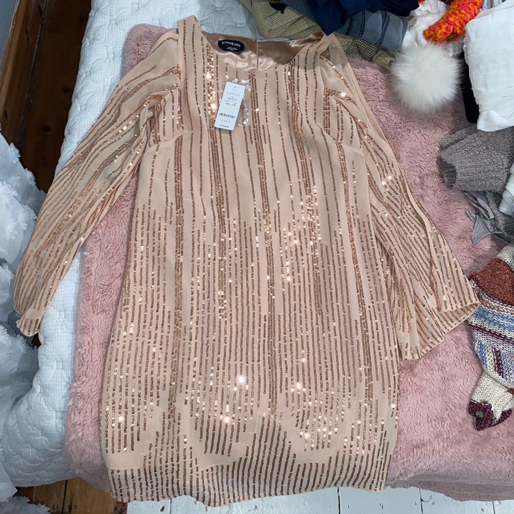 Rose Bebe Dress